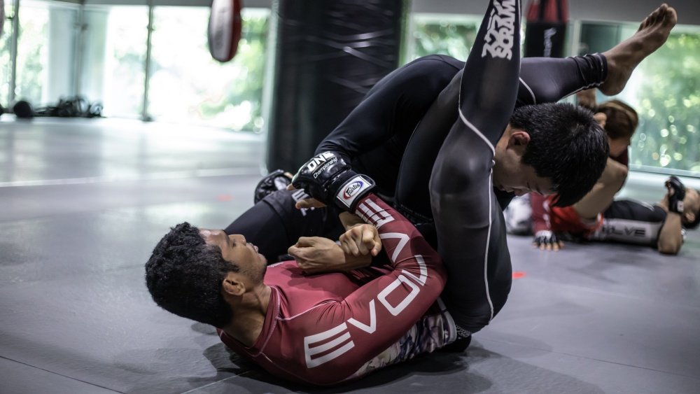 Martial arts grappling training